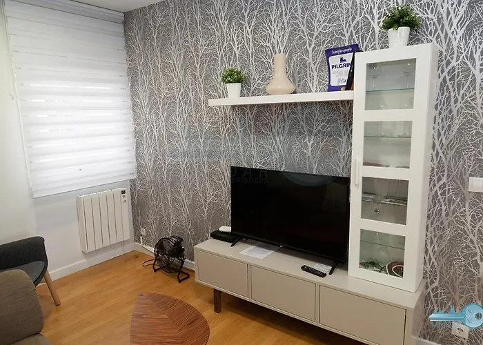 Piso Centrico Y Moderno En Logrono Vivienda De Uso Turistico