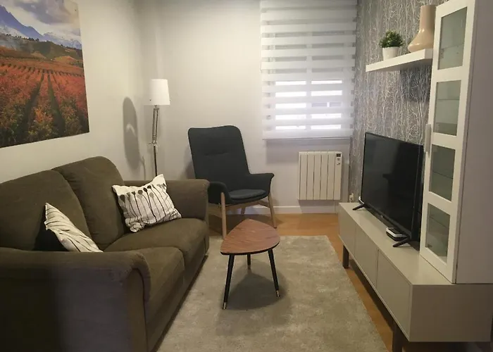 Piso Centrico Y Moderno En Logrono Vivienda De Uso Turistico